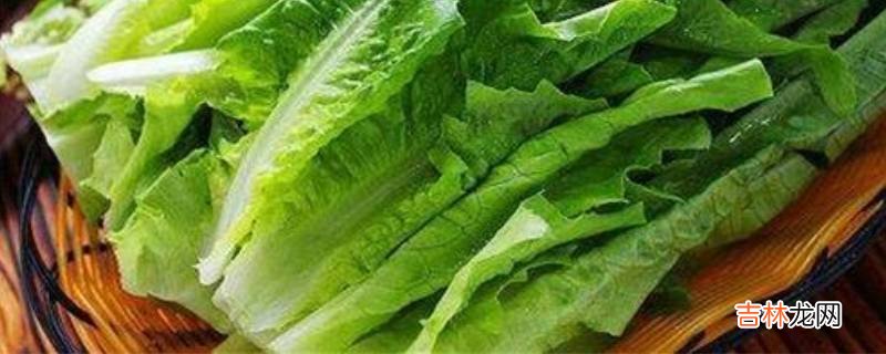 油麦菜长大是不是莴笋