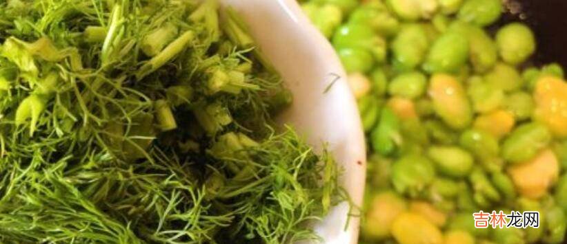 茴香蚕豆怎么做