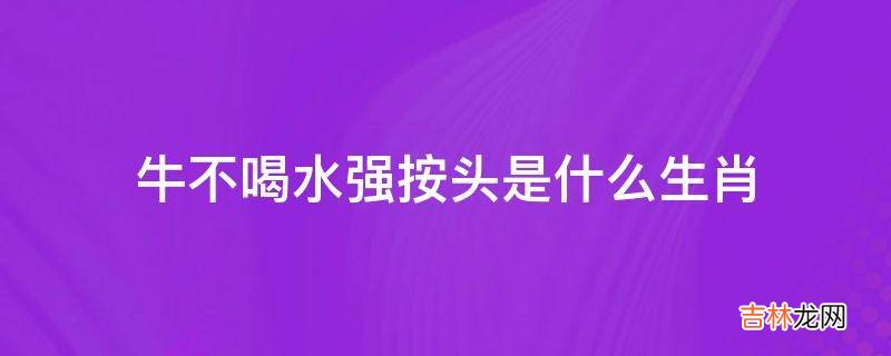 牛不喝水强按头是什么生肖?