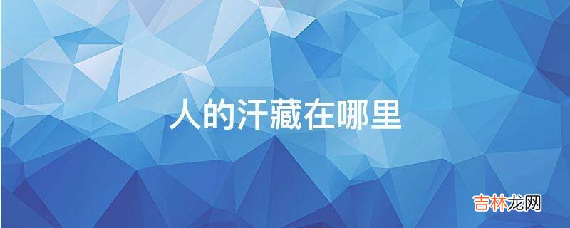 人的汗藏在哪里