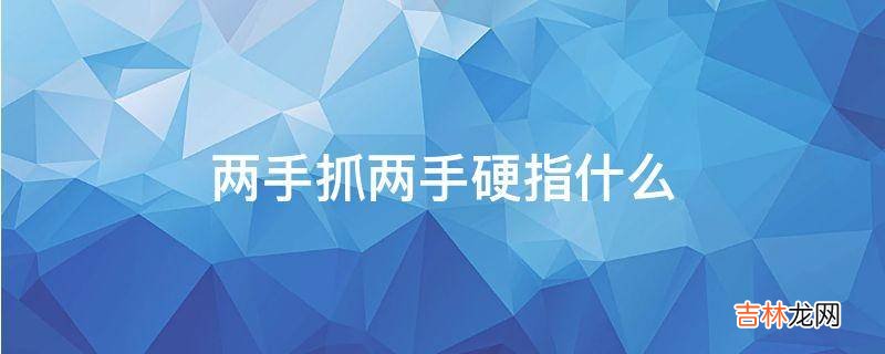 两手抓两手硬指什么