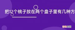 把12个桃子放在两个盘子里有几种方法