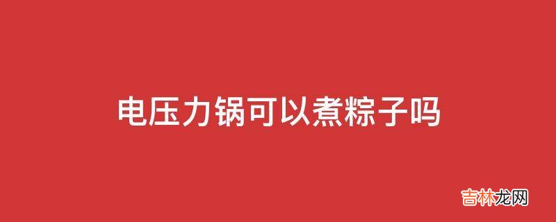 电压力锅可以煮粽子吗