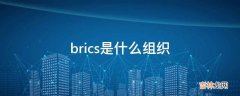 brics是什么组织