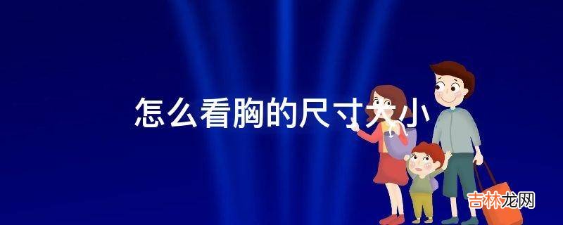 怎么看胸的尺寸大小