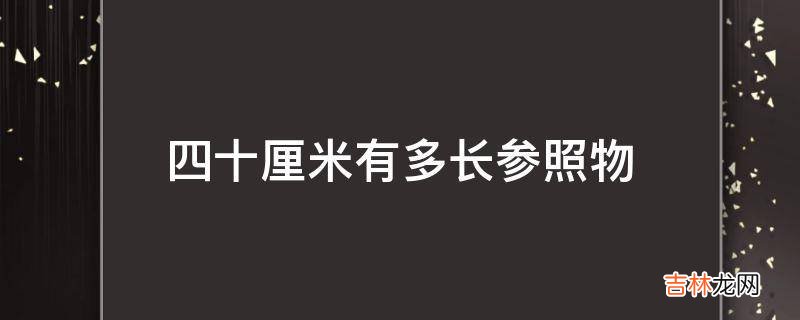 四十厘米有多长参照物