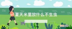 夏天米里放什么不生虫