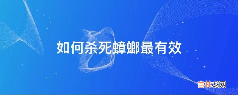 如何杀死蟑螂最有效