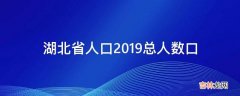 湖北省人口2019总人数口