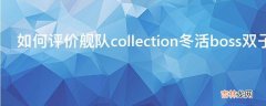 如何评价舰队collection冬活boss双子的设计