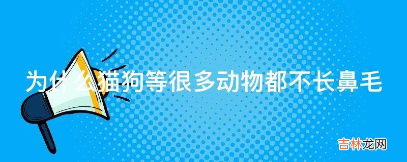 为什么猫狗等很多动物都不长鼻毛