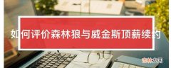 如何评价森林狼与威金斯顶薪续约