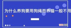 为什么养狗要用狗绳而养猫一般不用猫绳