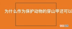 为什么作为保护动物的穿山甲还可以合法的被当作中药买卖