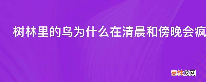 树林里的鸟为什么在清晨和傍晚会疯狂的鸣叫