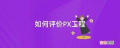 如何评价PX工程