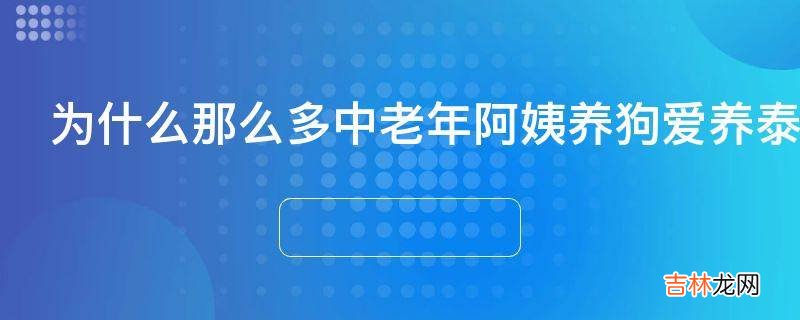 为什么那么多中老年阿姨养狗爱养泰迪