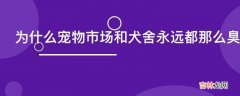 为什么宠物市场和犬舍永远都那么臭呢