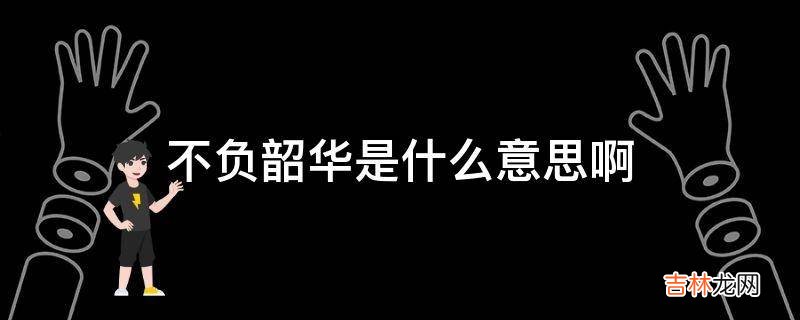 不负韶华是什么意思啊