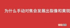 为什么手动对焦会发展出裂像和黄斑两种对焦方式