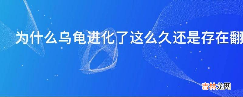 为什么乌龟进化了这么久还是存在翻身困难的问题