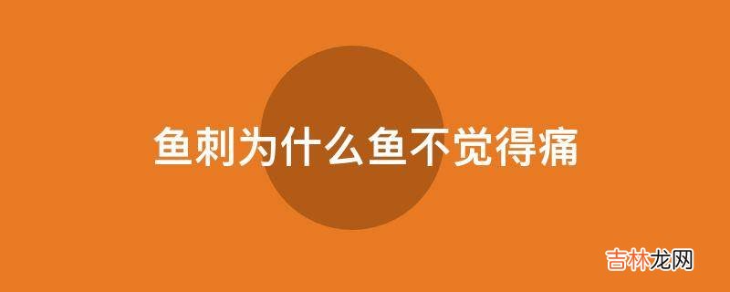 鱼刺为什么鱼不觉得痛