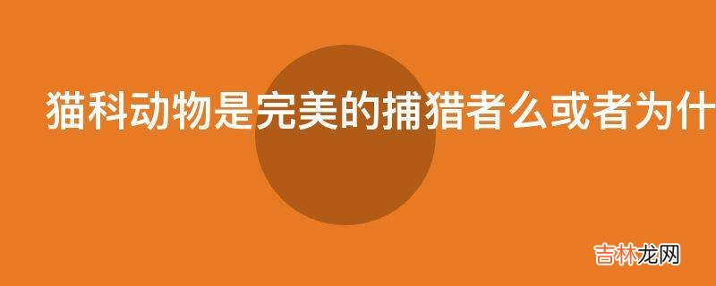 猫科动物是完美的捕猎者么或者为什么猫科动物竞争力如此之强
