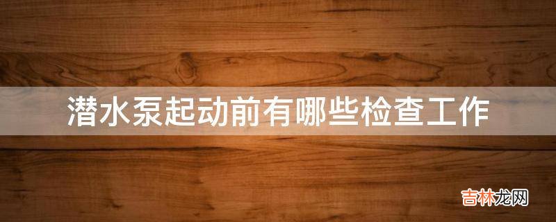 潜水泵起动前有哪些检查工作?