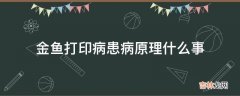 金鱼打印病患病原理什么事?