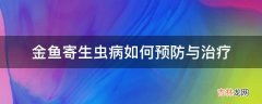 金鱼寄生虫病如何预防与治疗?