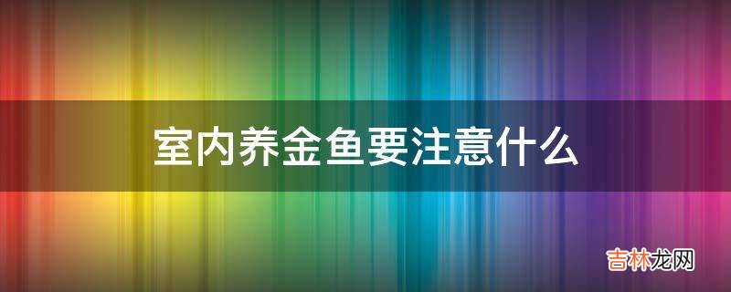 室内养金鱼要注意什么?