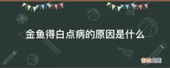 金鱼得白点病的原因是什么?