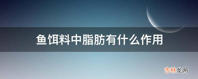 鱼饵料中脂肪有什么作用?