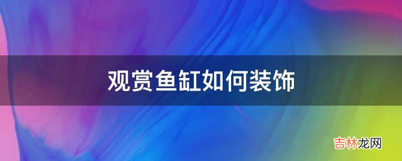 观赏鱼缸如何装饰?