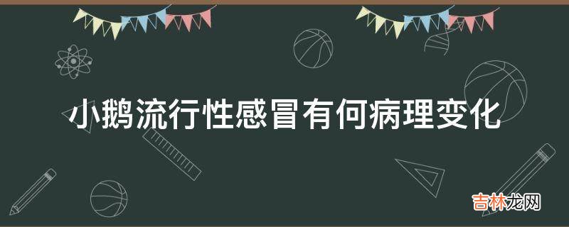 小鹅流行性感冒有何病理变化?