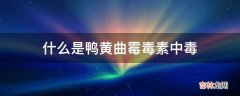 什么是鸭黄曲霉毒素中毒?