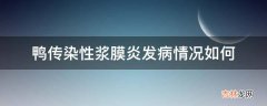 鸭传染性浆膜炎发病情况如何?