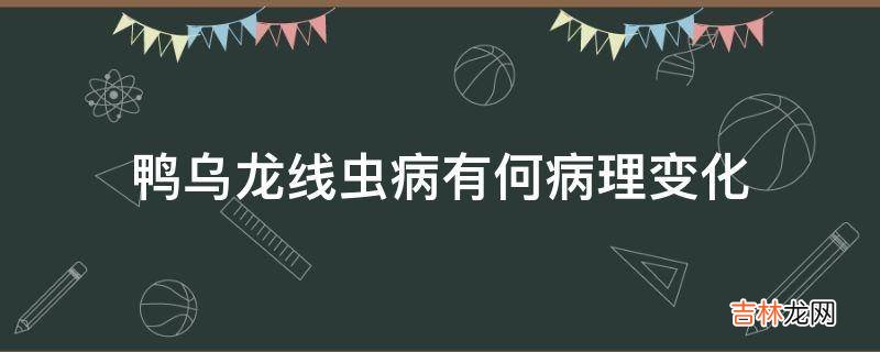 鸭乌龙线虫病有何病理变化?