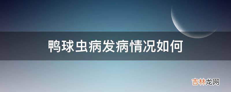 鸭球虫病发病情况如何?