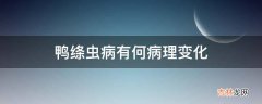 鸭绦虫病有何病理变化?