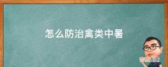 怎么防治禽类中暑?