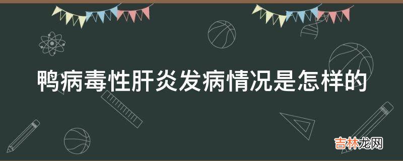 鸭病毒性肝炎发病情况是怎样的?