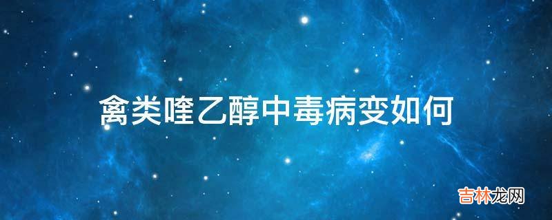 禽类喹乙醇中毒病变如何?