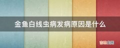 金鱼白线虫病发病原因是什么?