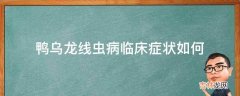 鸭乌龙线虫病临床症状如何?