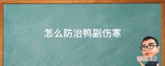 怎么防治鸭副伤寒?