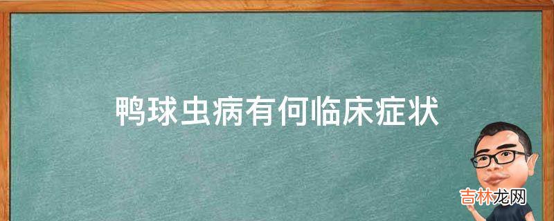 鸭球虫病有何临床症状?