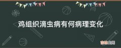 鸡组织滴虫病有何病理变化?