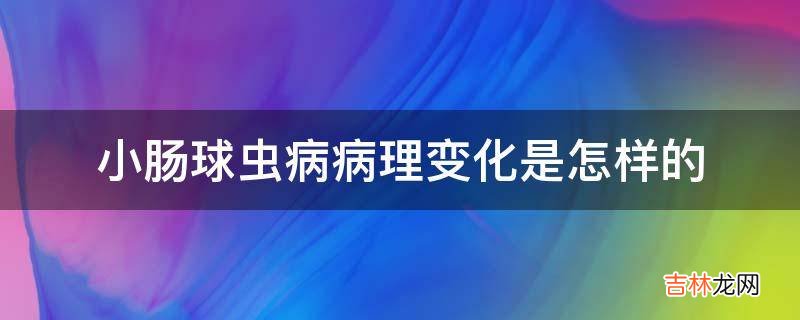 小肠球虫病病理变化是怎样的?