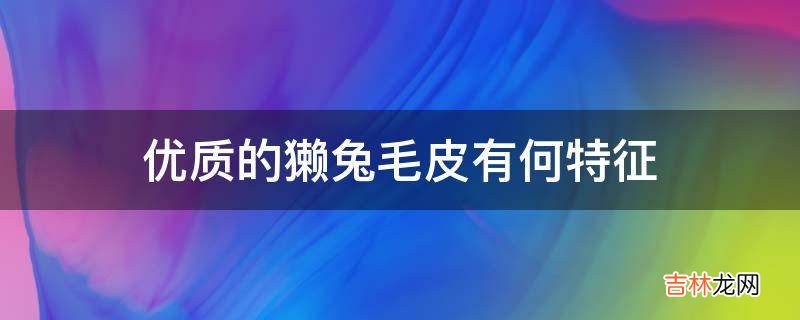 优质的獭兔毛皮有何特征?